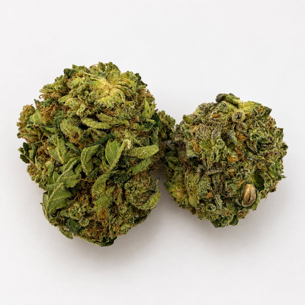 Monster Cookies
